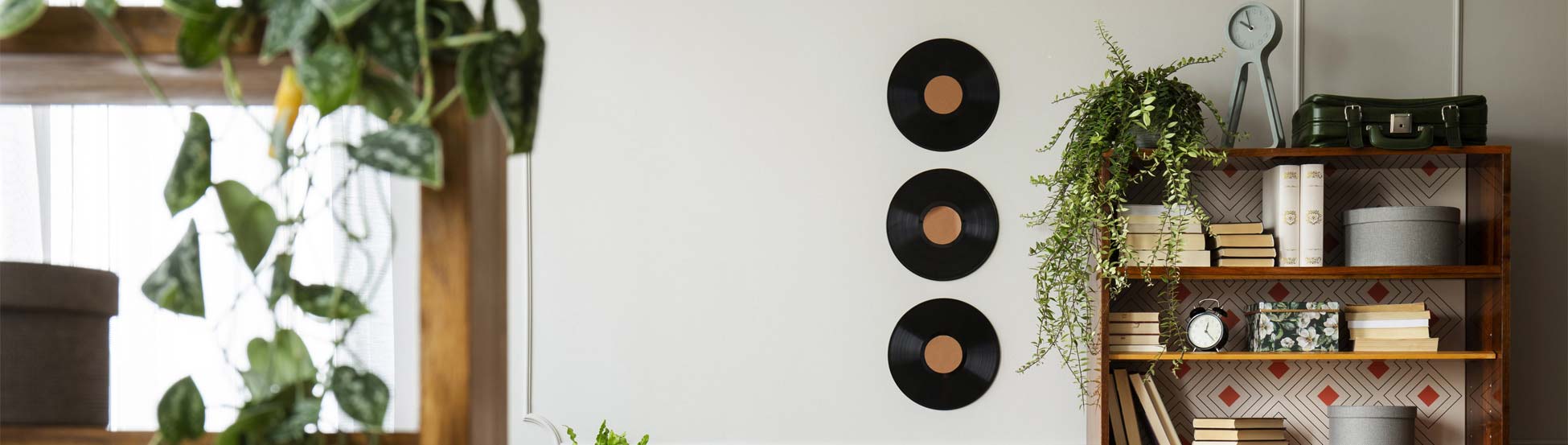 Wooden shelves full with contents, records displayed on the wall and some house plants.