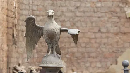 Eagle before